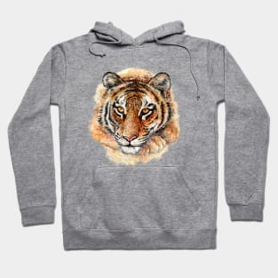 Panthera tigris -Tiger watercolor illustration Hoodie